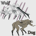 Wolf-and-dog.png